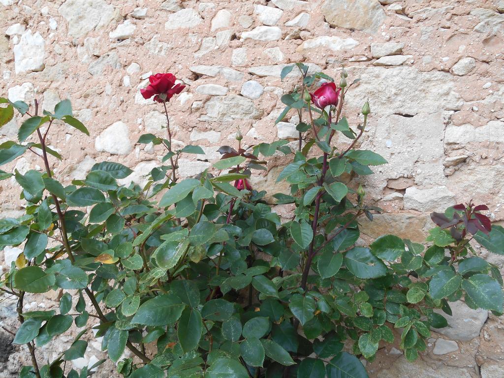בדואן Le Mas Des Baux מראה חיצוני תמונה