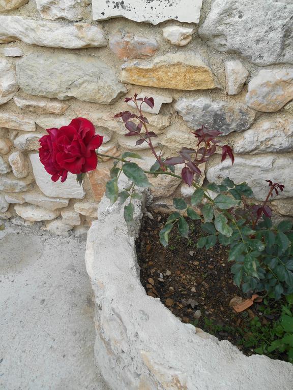 בדואן Le Mas Des Baux מראה חיצוני תמונה