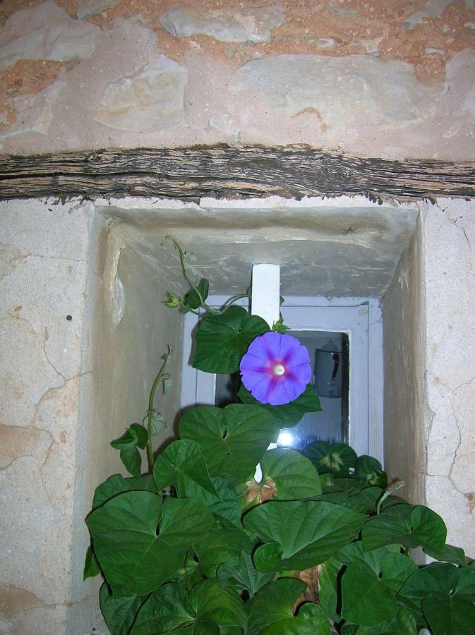בדואן Le Mas Des Baux מראה חיצוני תמונה